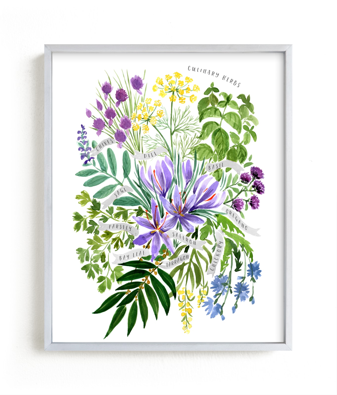 Culinary herbs bouquet