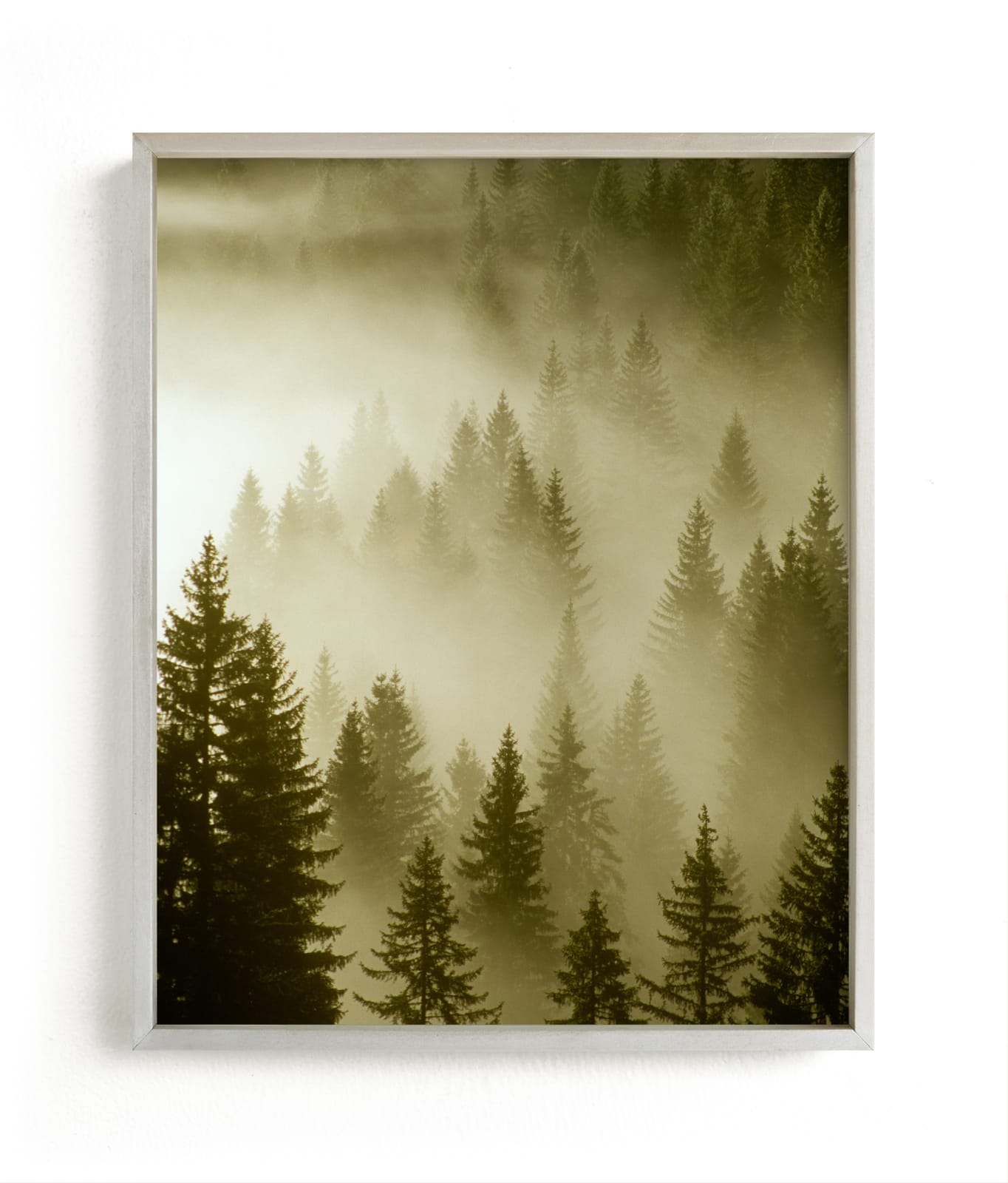 "Mystical Forest " - Limited Edition Art Print by Uros Zagozen in beautiful frame options and a variety of sizes.