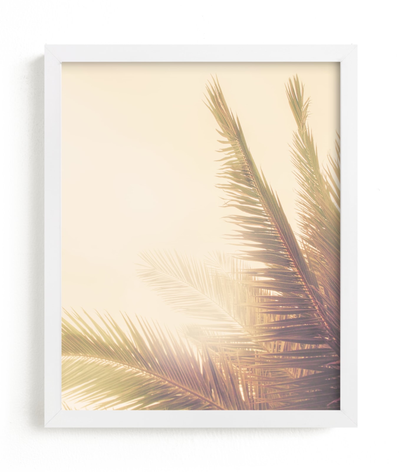 "Golden Palm Tree" - Limited Edition Art Print by Wilder California in beautiful frame options and a variety of sizes.