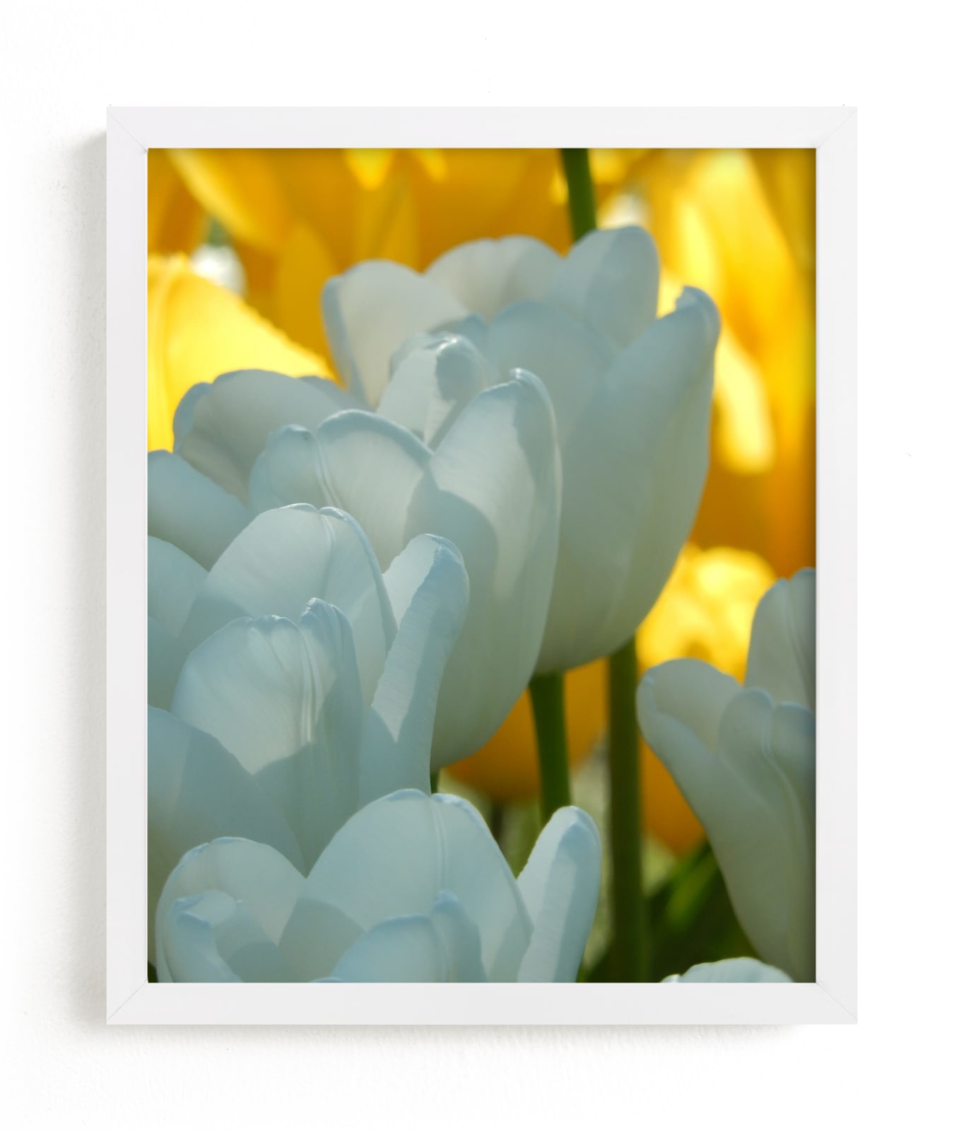 "white and yellow" - Art Print by Jan Kessel in beautiful frame options and a variety of sizes.