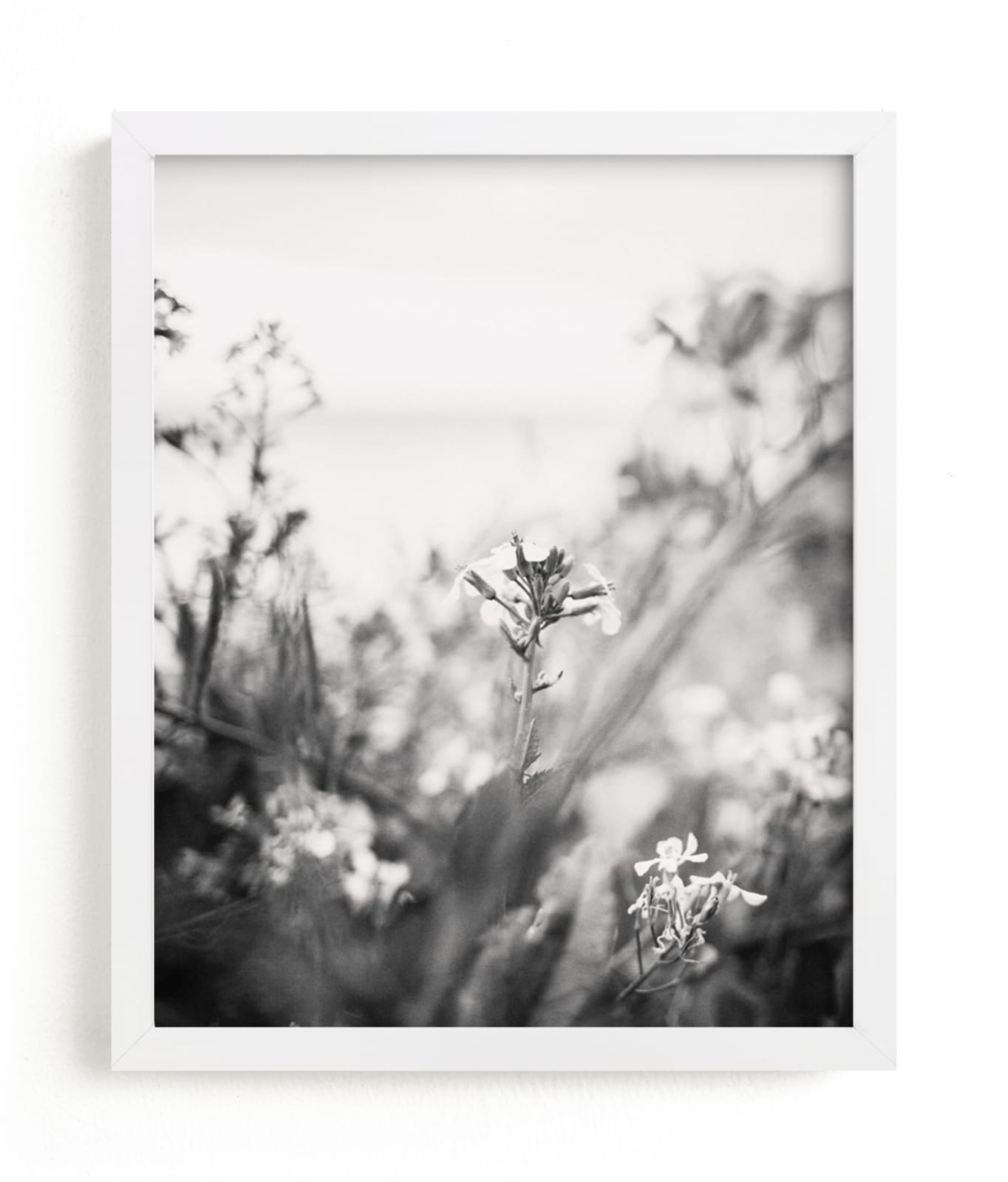 "Inked III" - Art Print by Lindsay Ferraris Photography in beautiful frame options and a variety of sizes.