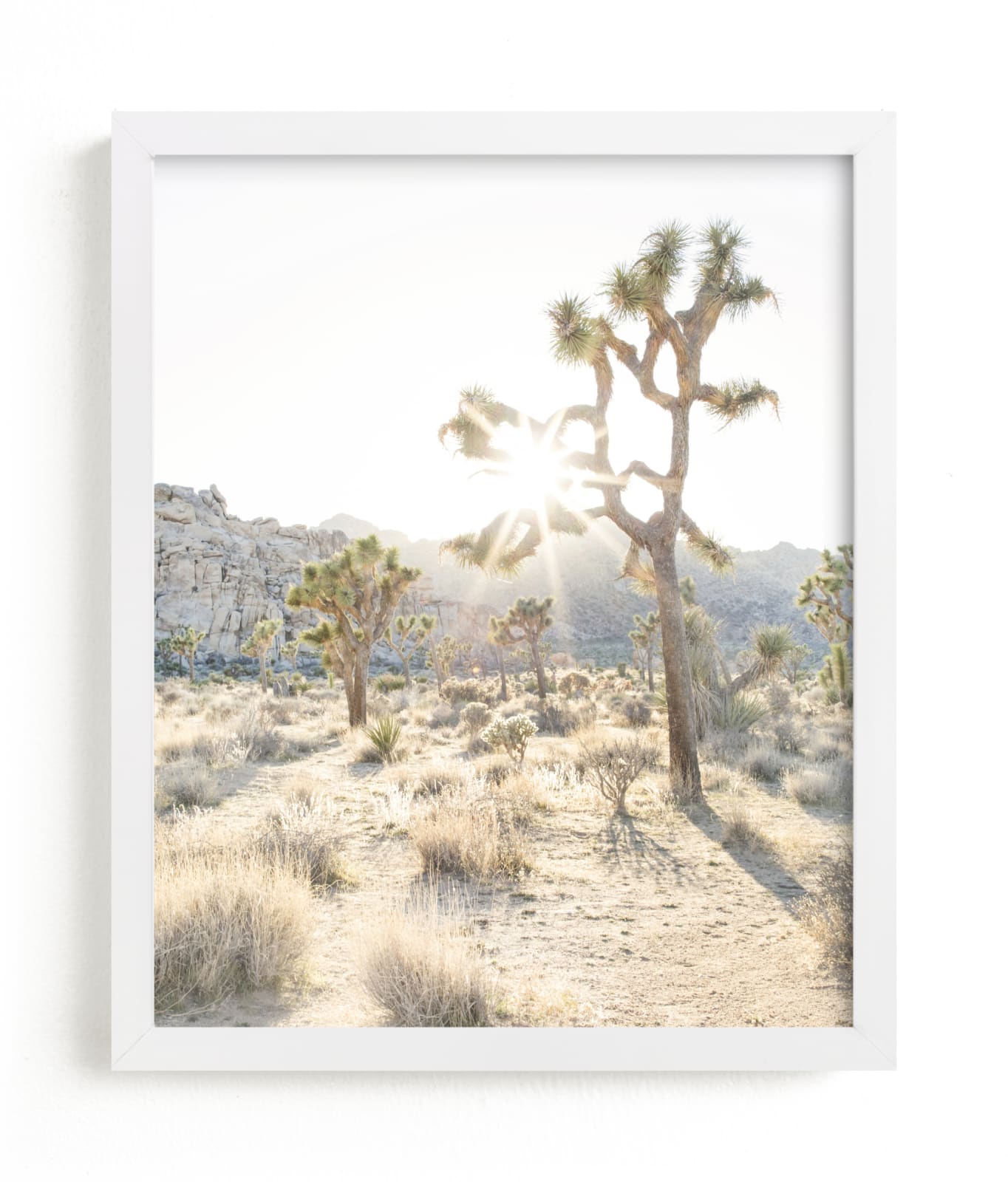 "Joshua Tree Golden Hour-2" by Lauren Armellini in beautiful frame options and a variety of sizes.