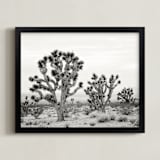 "Joshua Tree" - Art Print in joshua tree gray by Kristi Jackson - Framed