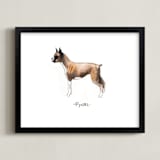 "Boxer" - Art Print in Brown by Megan Kelso - Framed