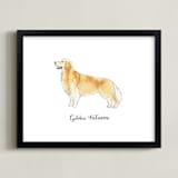 "Golden Retriever" - Art Print in Golden by Megan Kelso - Framed