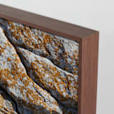 "Mediterranean Lichen" - Art Print in curcuma by Christiana Petschallies - Frame Close-up