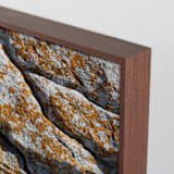 "Mediterranean Lichen" - Art Print in curcuma by Christiana Petschallies - Frame Close-up