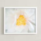"Majestic Peony" - Art Print in Majestic white by Ilze Lucero - Framed