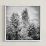 "InfraBotanical" - Art Print in Grey by Jeff Preuss - Framed