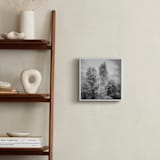 "InfraBotanical" - Art Print in Grey by Jeff Preuss - In a Room