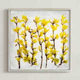 "Forsythia" - Art Print in yellow by Qing Ji - Framed