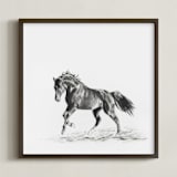 "Horse Study 2" - Art Print in original charcoal by Ramnik Velji - Framed