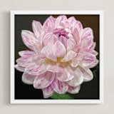 "Pink White Waterlily Dahlia" - Art Print in Violet Purple by A MAZ Design - Framed