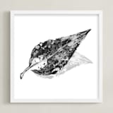 "Abstract Leaf" - Art Print in Black & White by Carole Crohan - CaroleeXpressions - Framed