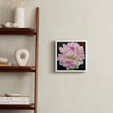 "Pink White Waterlily Dahlia" - Art Print in Violet Purple by A MAZ Design - In a Room