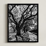 "Curly Tree Alley in Oahu" - Art Print in Strong Black and White by Rasa Puzinaite - Framed