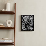 "Curly Tree Alley in Oahu" - Art Print in Strong Black and White by Rasa Puzinaite - In a Room