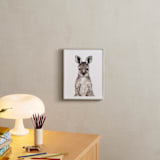 "Baby Kangaroo" - Art Print in hazelnut by Cass Loh - In a Room