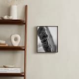 "Forest Find" - Art Print in black and white, grey, gray by Alexis Arnold - In a Room