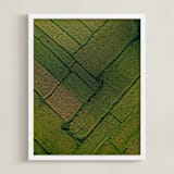 "Above the Paddy" - Art Print in Green by Alaric Yanos - Framed