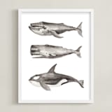 "Three Stacked Whales" - Art Print in Grey by Two if by Sea Studios - Framed
