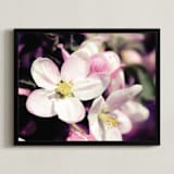 "Watercolour Apple Blossoms" - Art Print in Apple Blossom Pink by Katrina Lindhorst - Framed