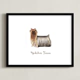 "Yorkshire Terrier" - Art Print in Brown by Megan Kelso - Framed