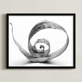 "Natures Curves" - Art Print in black and white by Alexis Arnold - Framed