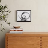 "Natures Curves" - Art Print in black and white by Alexis Arnold - In a Room