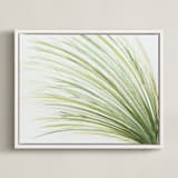 "Tall Grass Watercolor" - Art Print in Naturally Green by Loree Mayer - Framed Canvas