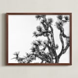 "Joshua Tree in September" - Art Print in Charcoal by Katie Doherty - Framed