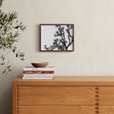 "Joshua Tree in September" - Art Print in Charcoal by Katie Doherty - In a Room