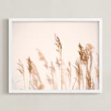 "summer weeds" - Art Print in white by Crystal Lynn Collins - Framed