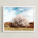 "Blooming tree" - Art Print in Warm Bronze by Lying on the grass - Framed