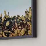 "Cactus in a sunset" - Art Print in Sunset by Susanna Nousiainen - Frame Close-up