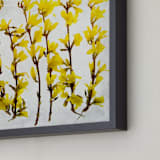 "Forsythia" - Art Print in yellow by Qing Ji - Frame Close-up