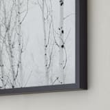 "White Aspens" - Art Print in Black and White by Jessica C Nugent - Frame Close-up