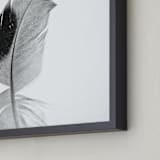 "Ruffled Feather" - Art Print in Black and White by Sarah Luna - Frame Close-up