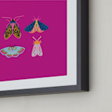 "Boho Bugs" - Art Print in Magenta by Britt Mills - Frame Close-up