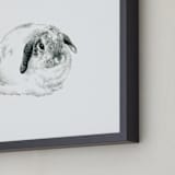 "Lop Eared Bunny Rabbit" - Art Print in Snow White by Corinne Aelbers - Frame Close-up