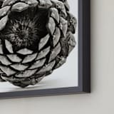 "Pine Cone Square " - Art Print in black and white by Alexis Arnold - Frame Close-up