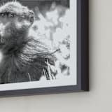 "mr BABOON" - Art Print in steely gray by Gail Schechter - Frame Close-up