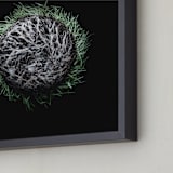 "The Space We Are Given" - Art Print in Pale Grass by Elky Ink - Frame Close-up