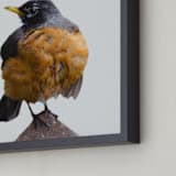 "Wet Bird" - Art Print in Tangerine by Johanna Phillips Huuva - Frame Close-up