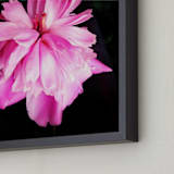 "Spring Noir 4" - Art Print in Pop by Sarah Johnson - Frame Close-up