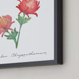 "November Chrysanthemum" - Art Print in Crimson by Liz Conley - Frame Close-up