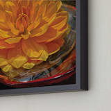 "Golden Water Lily Dahlia" - Art Print in Golden Dahlia by A MAZ Design - Frame Close-up