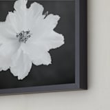 "Peony" - Art Print in Midnight Peony by Ilze Lucero - Frame Close-up