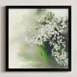"spring blossom memory" - Art Print in April cream by Stacy Cooke - Framed