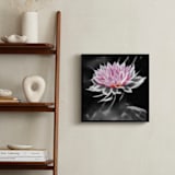 "Misty Dahlia" - Art Print in Misty Pink by A MAZ Design - In a Room